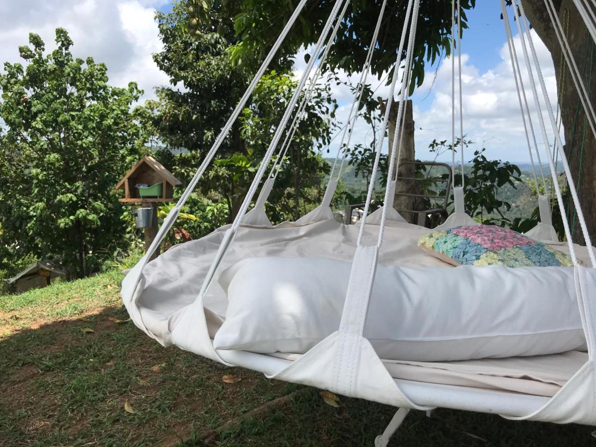 Camping Para Dos - A Escoger Segun Disponibilidad De Caseta O Cabana Кагуас Екстериор снимка