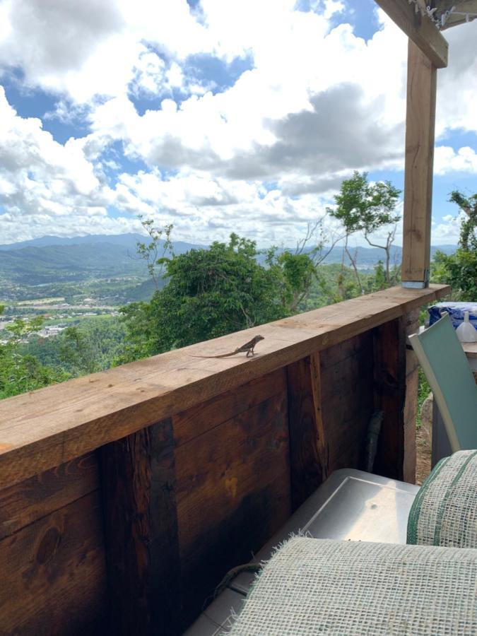 Camping Para Dos - A Escoger Segun Disponibilidad De Caseta O Cabana Кагуас Екстериор снимка